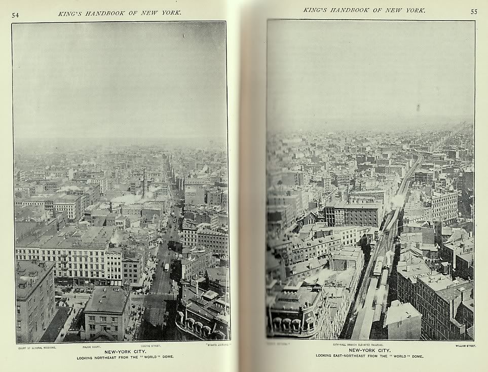 1893 Antique NEW YORK CITY Photo History Tourist Guide Manhattan