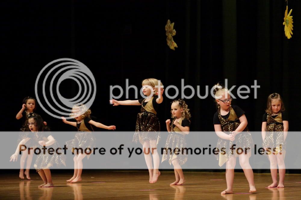 IMAGE: http://i416.photobucket.com/albums/pp241/tkbslc/EOS30D_2956.jpg