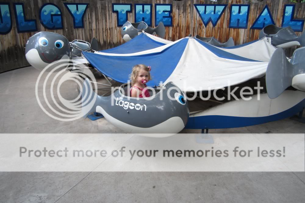 IMAGE: http://i416.photobucket.com/albums/pp241/tkbslc/lens%20samples/IMG_0167.jpg