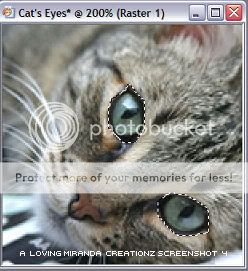 CatsEyes-Screenshot-4.jpg Screenshot 4 picture by lovingmiranda