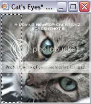 CatsEyes-Screenshot-5.jpg Screenshot 5 picture by lovingmiranda