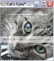 CatsEyes-Screenshot-5.jpg Screenshot 5 picture by lovingmiranda