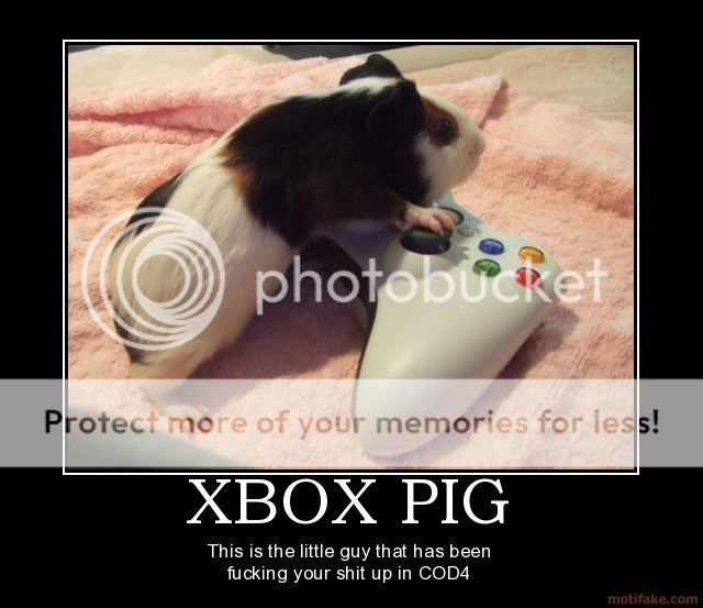 photo xbox-pig-demotivational-poster-1215.jpg