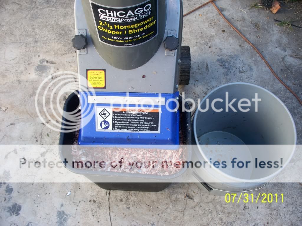 make chum at home easy Bloodydecks