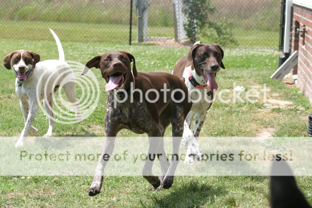 IMAGE: http://i416.photobucket.com/albums/pp248/GoWolfpack/5-30-10074.jpg