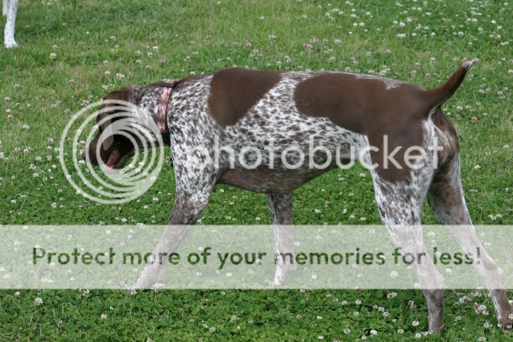 IMAGE: http://i416.photobucket.com/albums/pp248/GoWolfpack/5-30-10161.jpg