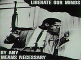 malcom4.jpg MALCOM X image by HANDOFSHADOWS