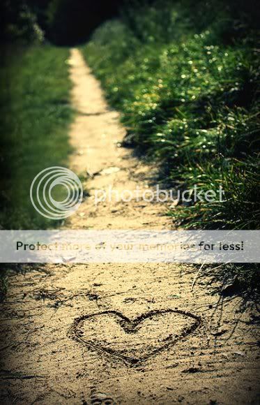 heart Pictures, Images and Photos