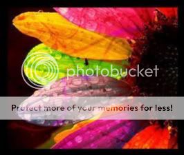 colorful-1.jpg Color Flower image by haley_is_super