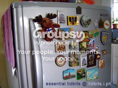 refrigerator magnets