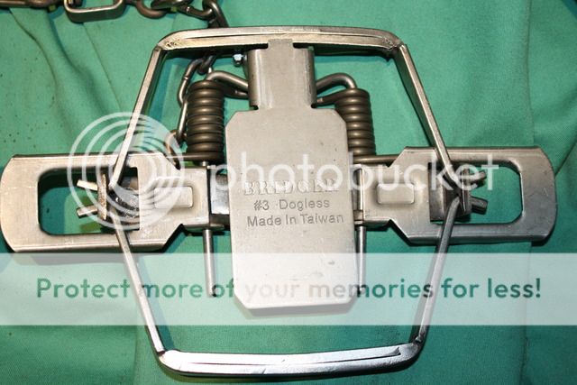 Bridger #3 vs No BS #3 dogless comparison | NY Trappers Forum