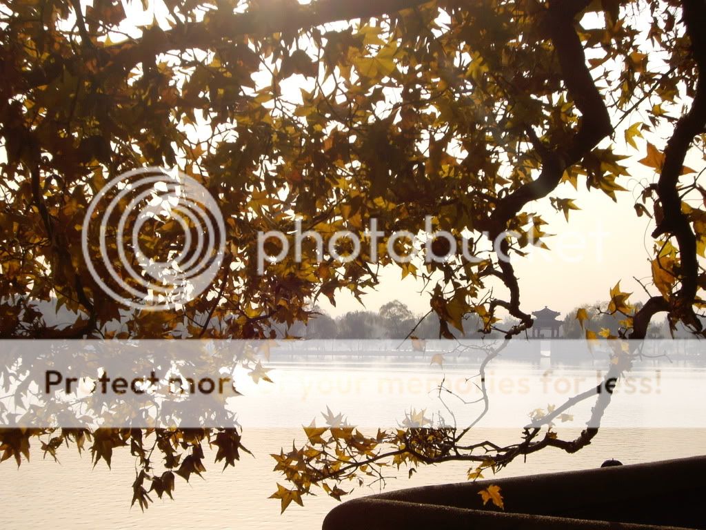 Summer Palace, Autumn3